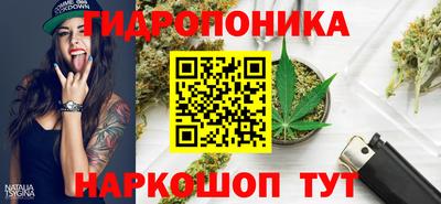 гидропоника Гагарин