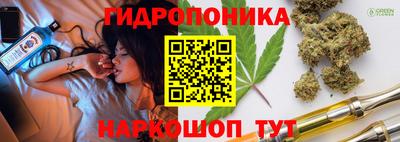 дурь Гатчина