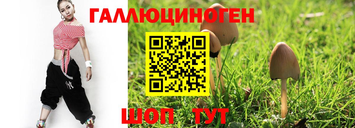 Галлюциногенные грибы прущие грибы  где можно купить   Грязи  Псилоцибиновые грибы мицелий  Вход с VPN 